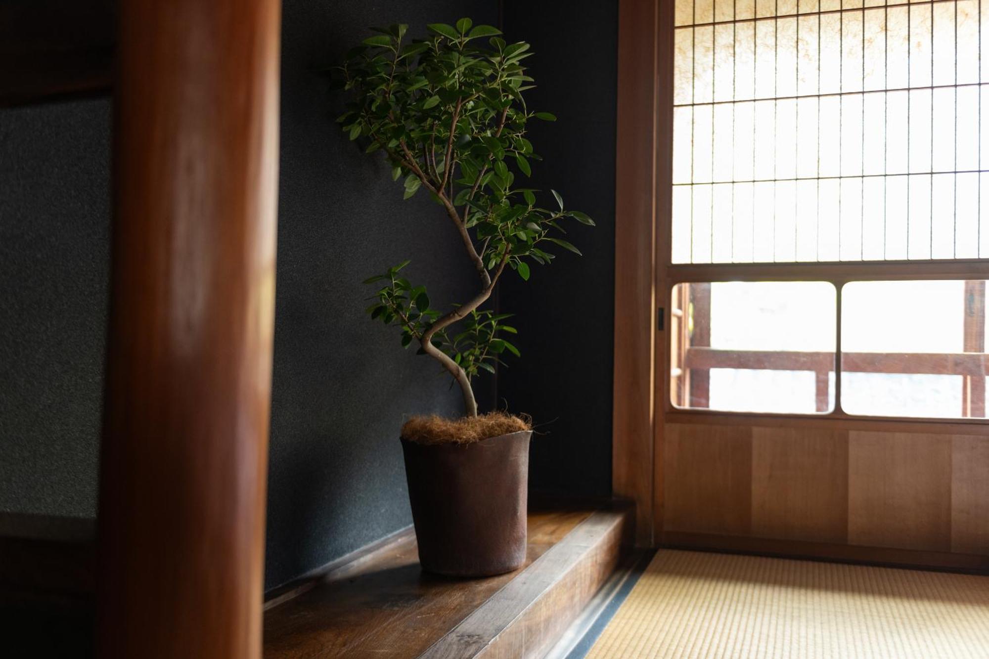 篠山城下町ゲストハウス Quolo Tamba-Sasayama Exterior foto